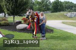 23R13_14009 thumbnail